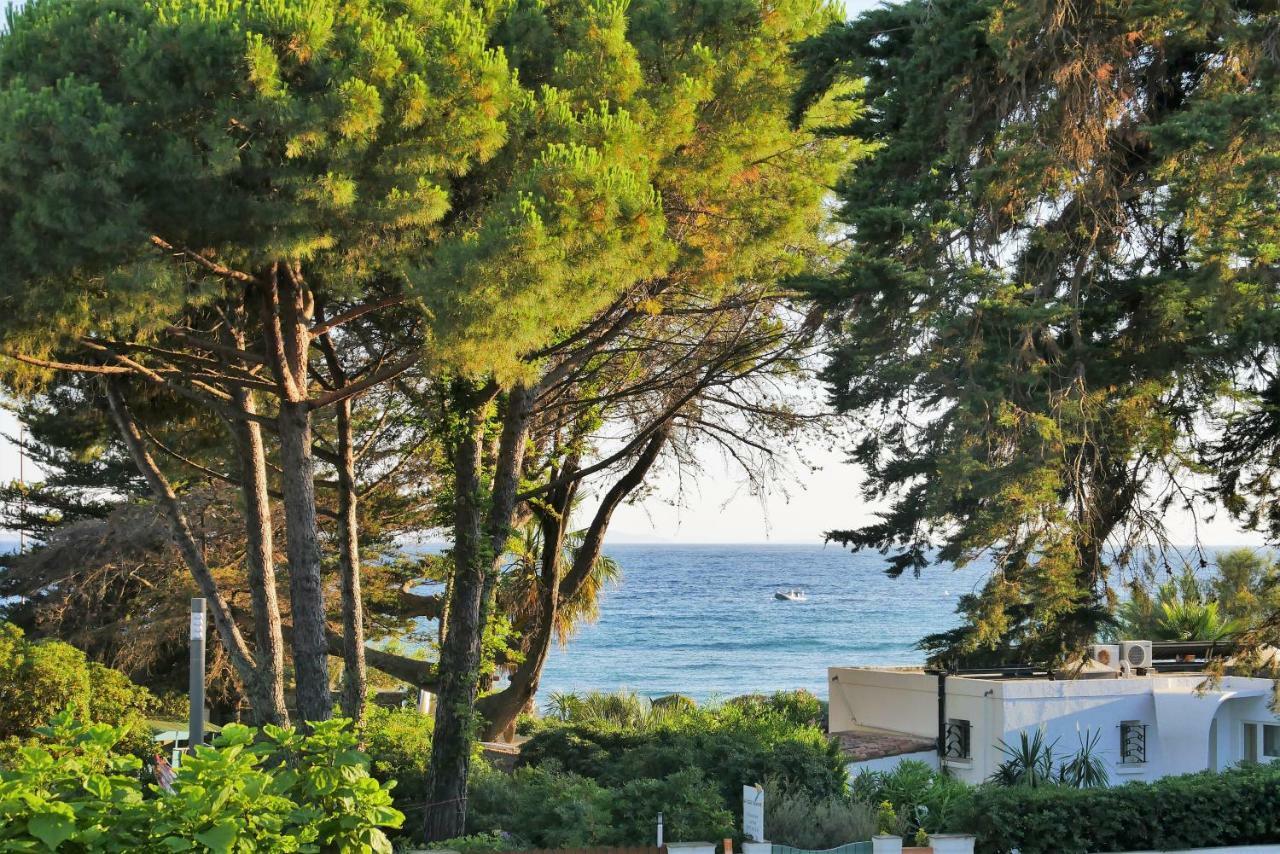Les Moulins De Paillas La Croix-Valmer Dış mekan fotoğraf